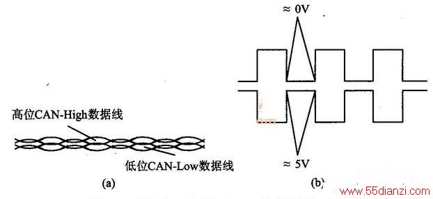 CANϵͳ
