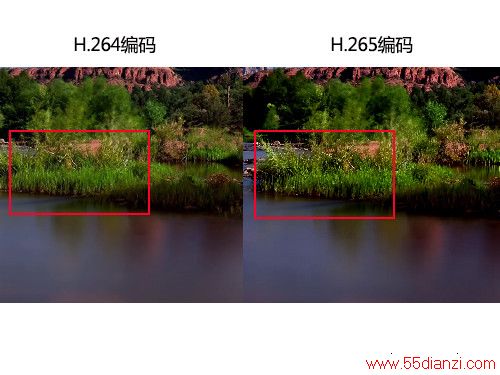 4KӰװDVD H.265¼ 