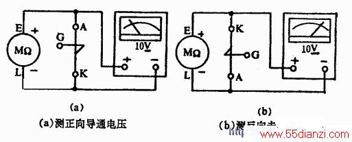 赥򿪹(SUS)