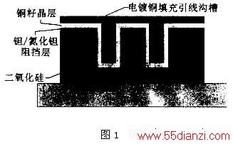 image:bk065232j-1.jpg