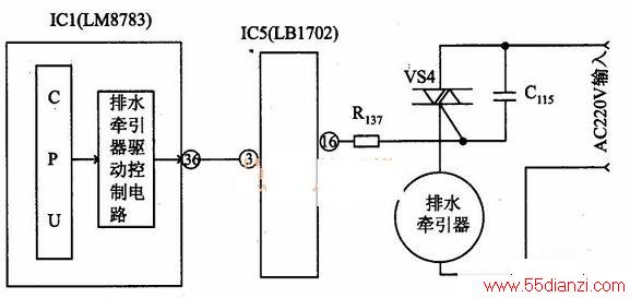 XQB55-118ȫԶϴ»ˮ