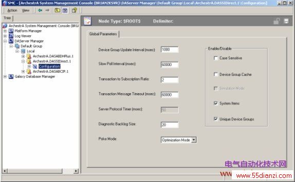 DASSIDirect C Global Parameters