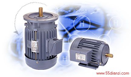 Inverter Duty Motors